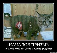 НАЧАЛСЯ ПРИЗЫВ и даже котэ готов на защиту родины
