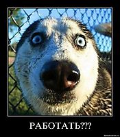 РАБОТАТЬ??? 