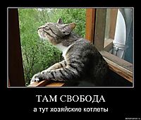 ТАМ СВОБОДА а тут хозяйские котлеты
