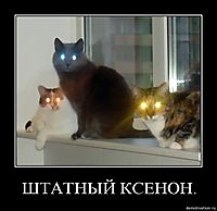ШТАТНЫЙ КСЕНОН. 