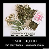 ЗАПРЕЩЕНО Пей водку быдло. Не нарушай законы