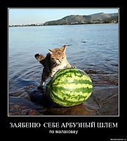 ЗАЯБЕНЮ  СЕБЕ АРБУЗНЫЙ ШЛЕМ по малаховву