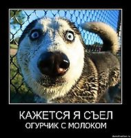 КАЖЕТСЯ Я СЪЕЛ ОГУРЧИК С МОЛОКОМ