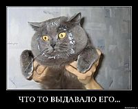 ЧТО ТО ВЫДАВАЛО ЕГО... 
