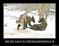 ОН НЕ ЗАССАЛ ПОЗНАКОМИТЬСЯ 