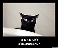 Я КАКАЮ а что делашь ты?