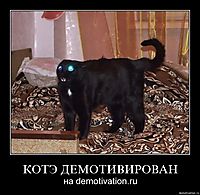 КОТЭ ДЕМОТИВИРОВАН на demotivation.ru
