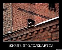 ЖИЗНЬ ПРОДОЛЖАЕТСЯ 