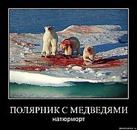 ПОЛЯРНИК С МЕДВЕДЯМИ натюрморт