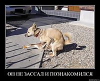 ОН НЕ ЗАССАЛ И ПОЗНАКОМИЛСЯ 