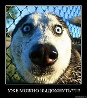 УЖЕ МОЖНО ВЫДОХНУТЬ???!!! 