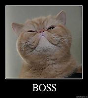BOSS 