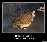 ВАШ ПОСТ СЛИШКОМ ТОЛСТ