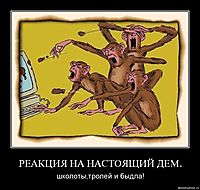 РЕАКЦИЯ НА НАСТОЯЩИЙ ДЕМ. школоты,тролей и быдла!