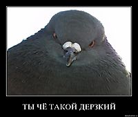 ТЫ ЧЁ ТАКОЙ ДЕРЗКИЙ 