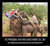 ХОЧЕШЬ ПОЗНАКОМИТЬСЯ? не обращай внимания на условности