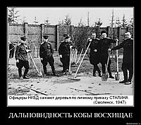 ДАЛЬНОВИДНОСТЬ КОБЫ ВОСХИЩАЕ 