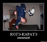 КОТЭ-КАРАТЭ киииииия!