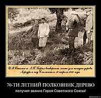 70-ТИ ЛЕТНИЙ ПОЛКОВНИК ДЕРЕВО получил звание Героя Советского Союза!
