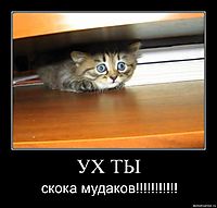 УХ ТЫ скока мудаков!!!!!!!!!!!