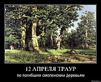 12 АПРЕЛЯ ТРАУР по погибшим смоленским деревьям