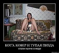 КОТЭ, КОВЕР И ТУПАЯ ПИЗДА стали нынче в моде