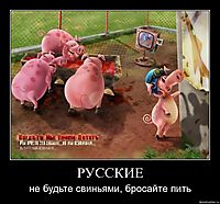 РУССКИЕ не будьте свиньями, бросайте пить