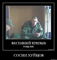 СОСНИ ХУЙЦОВ 