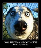 ХОЗЯИН КАКИЕ СОСИСКИ зачем вазелин а?