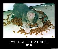УФ КАК Я НАЕЛСЯ ага га