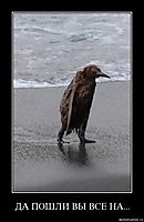 ДА ПОШЛИ ВЫ ВСЕ НА... 