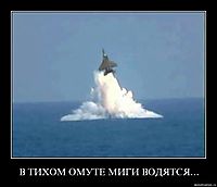В ТИХОМ ОМУТЕ МИГИ ВОДЯТСЯ...