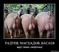 РАДУЕВ, МАСХАДОВ, БАСАЕВ жрут гавно, смертниц!