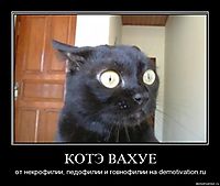 КОТЭ ВАХУЕ от некрофилии, педофилии и говнофилии на demotivation.ru
