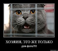 ХОЗЯИН, ЭТО ЖЕ ТОЛЬКО для фото?!!!