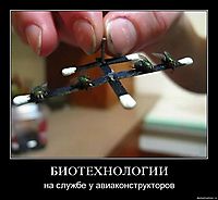 БИОТЕХНОЛОГИИ на службе у авиаконструкторов