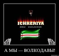 А МЫ — ВОЛКОДАВЫ! 
