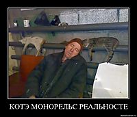 КОТЭ МОНОРЕЛЬС РЕАЛЬНОСТЕ 