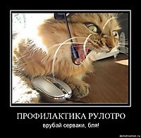 ПРОФИЛАКТИКА РУЛОТРО врубай серваки, бля!