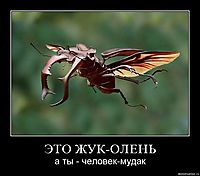 ЭТО ЖУК-ОЛЕНЬ а ты - человек-мудак