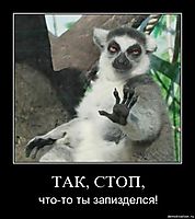 ТАК, СТОП, что-то ты запизделся!