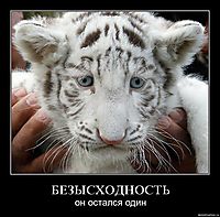 БЕЗЫСХОДНОСТЬ он остался один