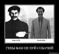 ГЕНЫ ВАМ НЕ ХУЙ СОБАЧИЙ 