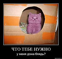 ЧТО ТЕБЕ НУЖНО у меня дома блядь?