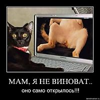 МАМ, Я НЕ ВИНОВАТ.. оно само открылось!!!