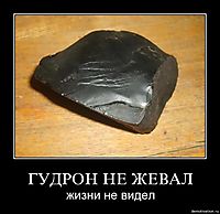 ГУДРОН НЕ ЖЕВАЛ жизни не видел