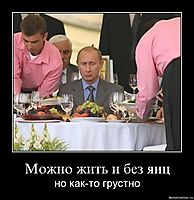 Можно жить и без яиц но как-то грустно