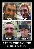 МЫ ТАКИЕ РАЗНЫЕ но все же мы вместе!