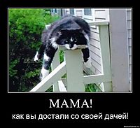 МАМА! как вы достали со своей дачей!