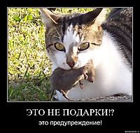 ЭТО НЕ ПОДАРКИ!? это предупреждение!